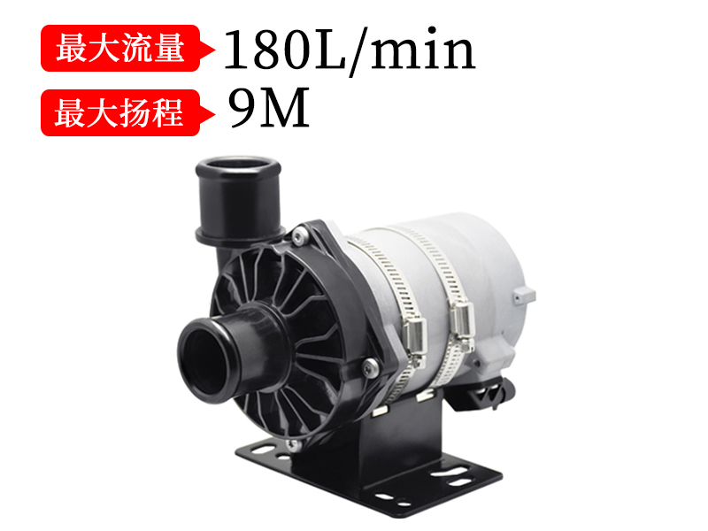 P9001汽車電子泵(24v)