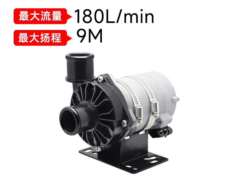 P9001汽車電子泵(24v)
